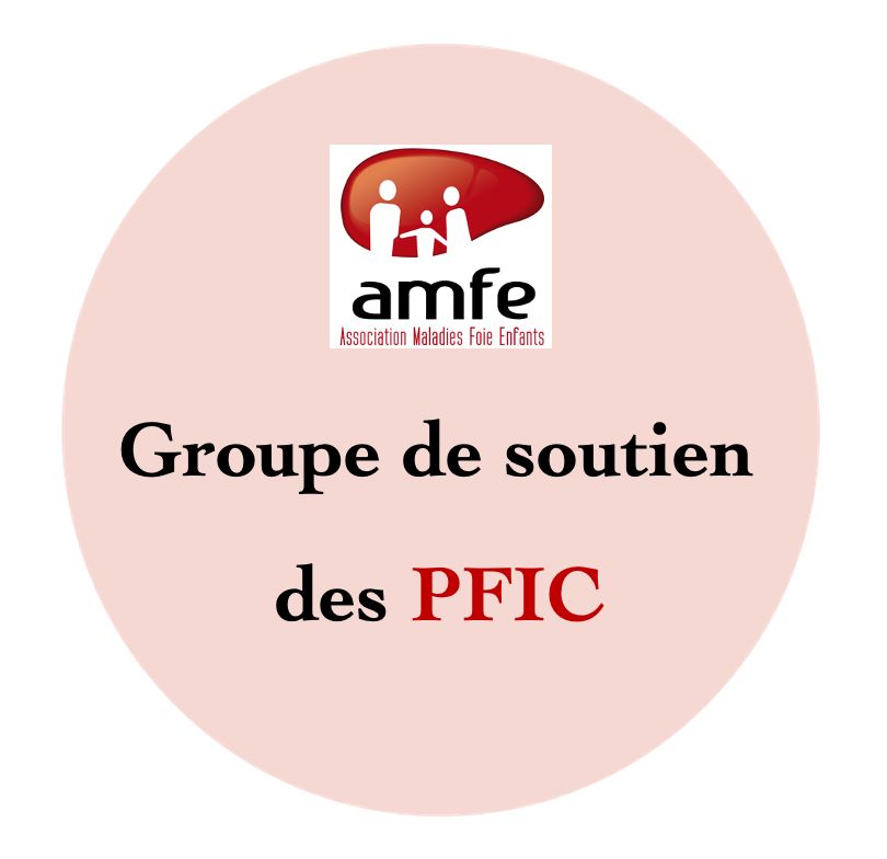 Groupe de soutien PFIC - AMFE